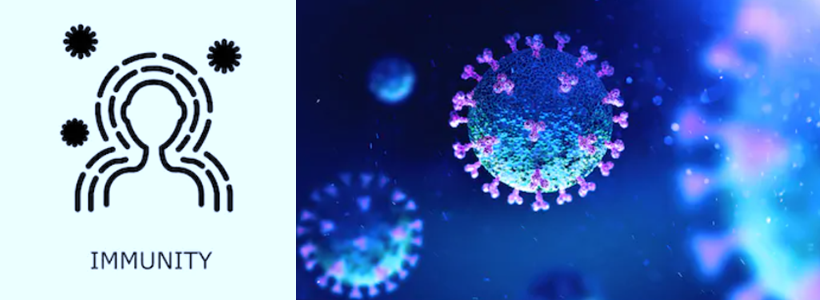 ウイルスと免疫力